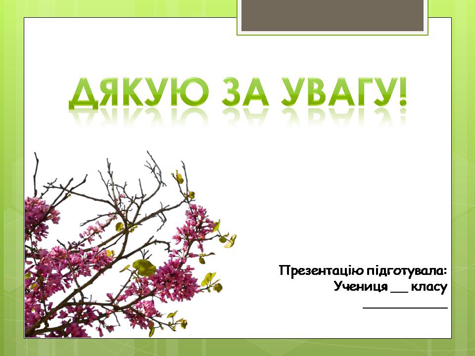 Презентація на тему «Сполучені Штати Америки» (варіант 16) - Слайд #16