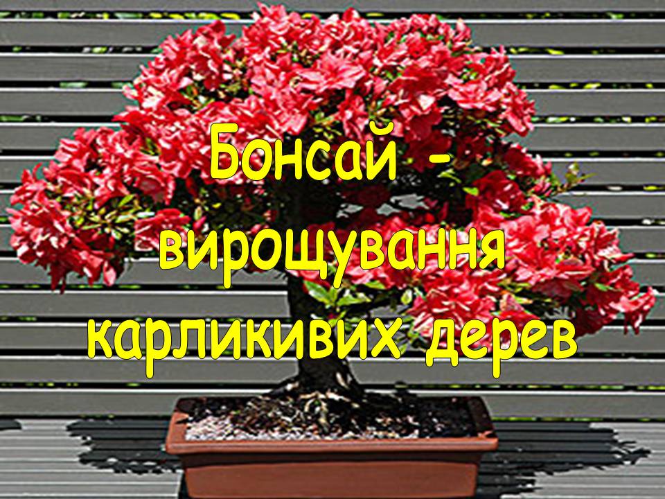 Презентація на тему «Японія» (варіант 52) - Слайд #50