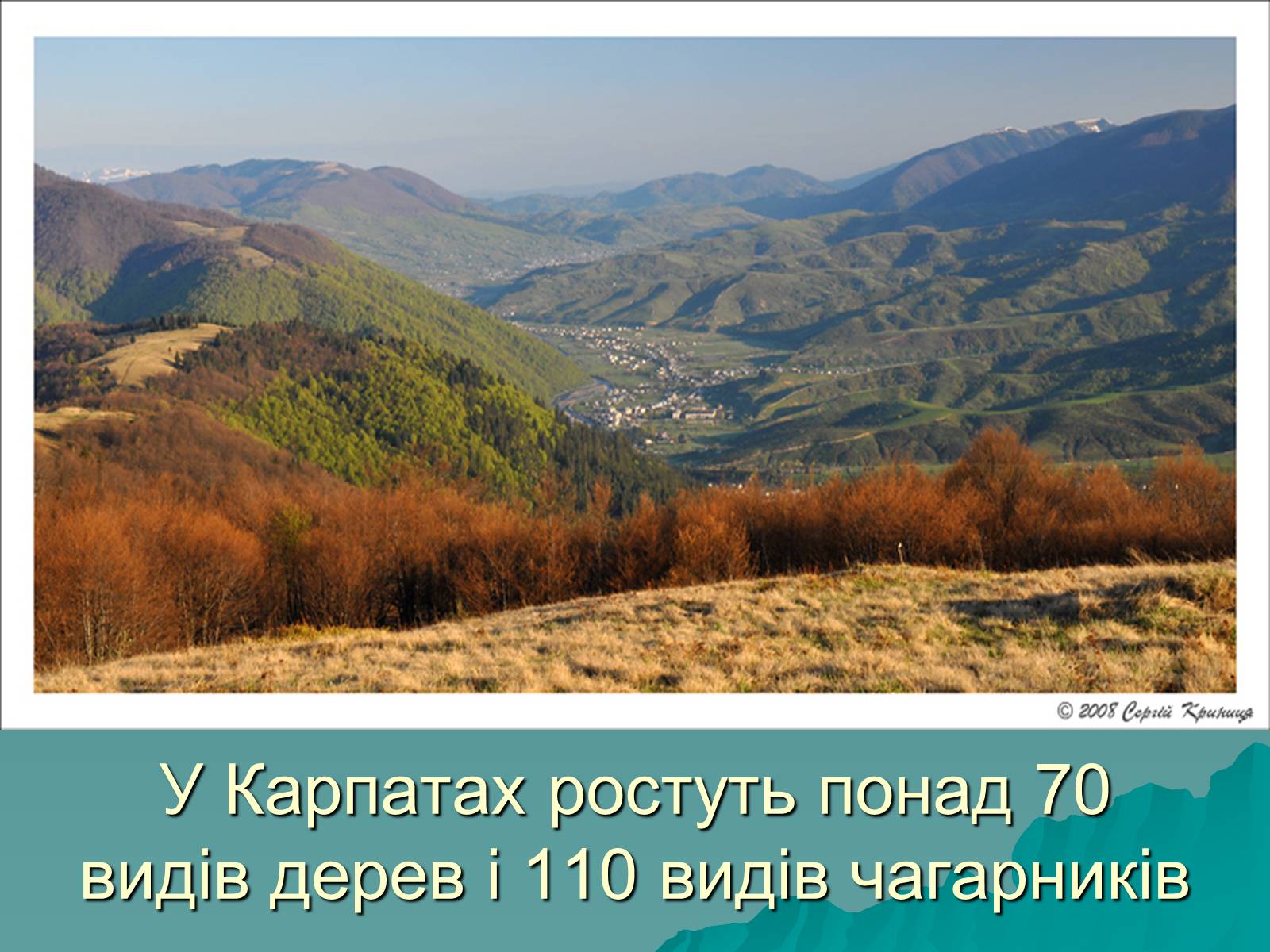 Презентація на тему «Українські Карпати» (варіант 5) - Слайд #18