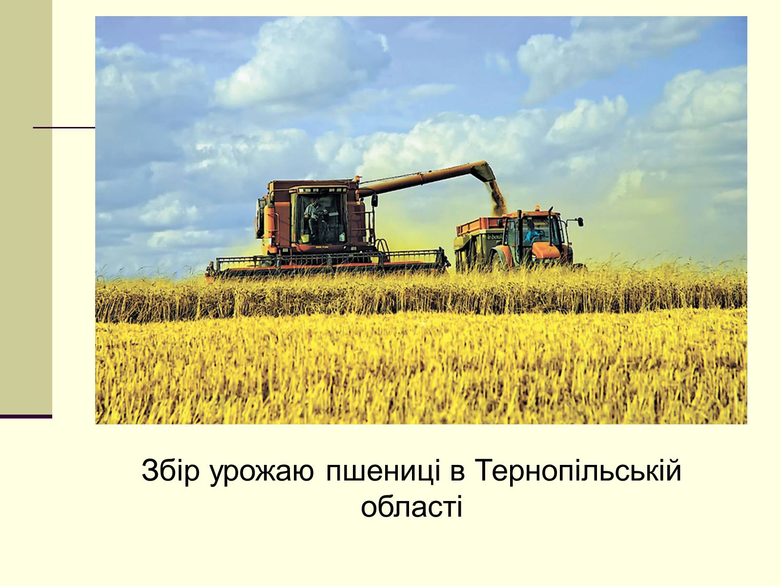 Презентація на тему «Подільський економічний район» (варіант 3) - Слайд #17