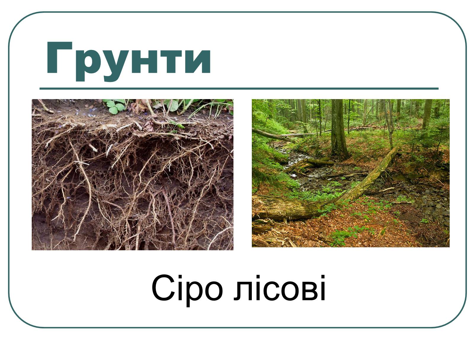 Презентація на тему «Подільський економічний район» (варіант 3) - Слайд #8