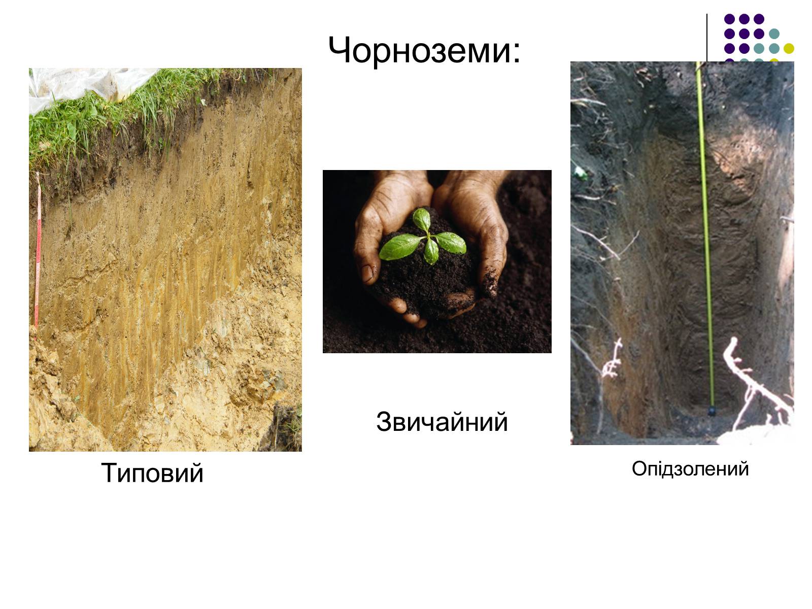 Презентація на тему «Подільський економічний район» (варіант 3) - Слайд #9