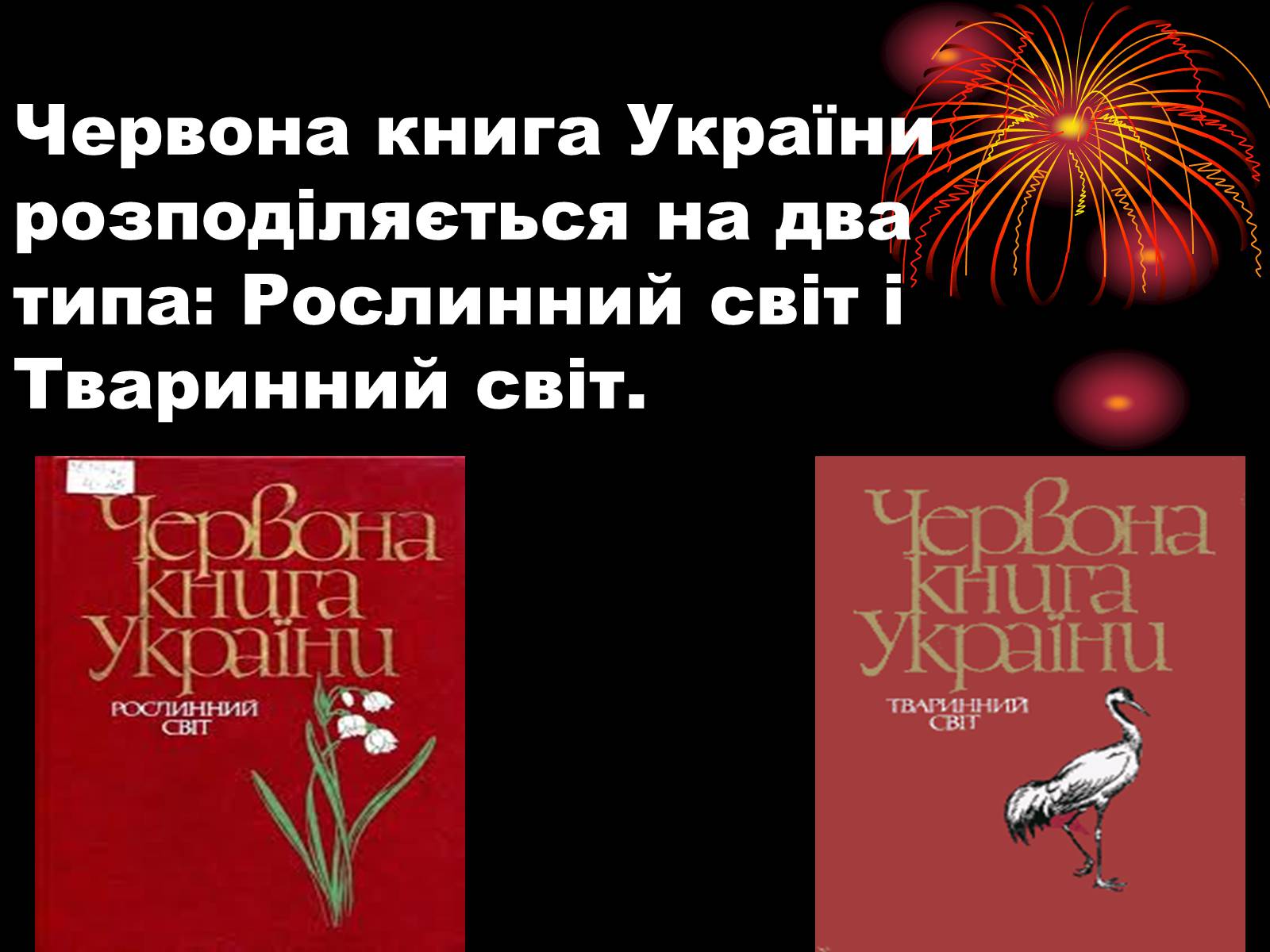 Презентація на тему «Червона книга України» (варіант 12) - Слайд #2