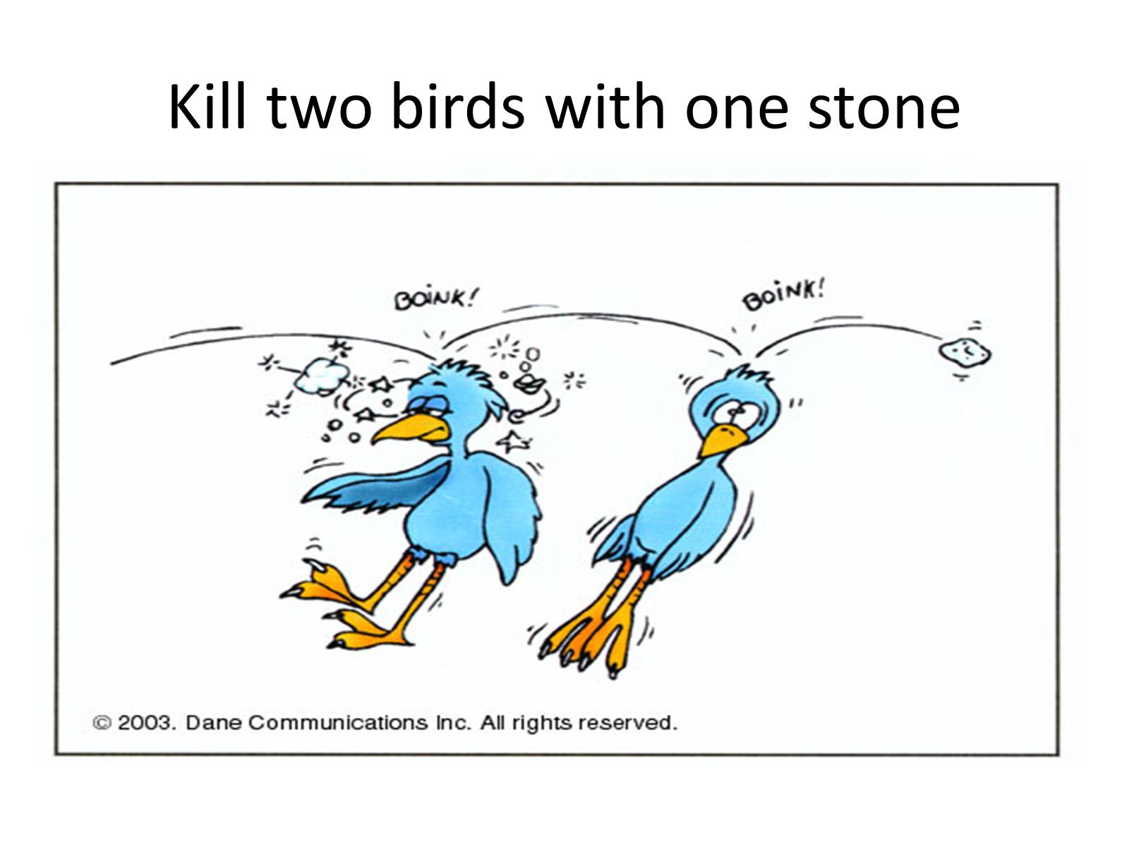 Kill bird. Kill two Birds with one Stone идиома. To Kill two Birds with one Stone. Kill two Birds with one Stone idiom. To Kill two Birds with one Stone перевод идиомы.