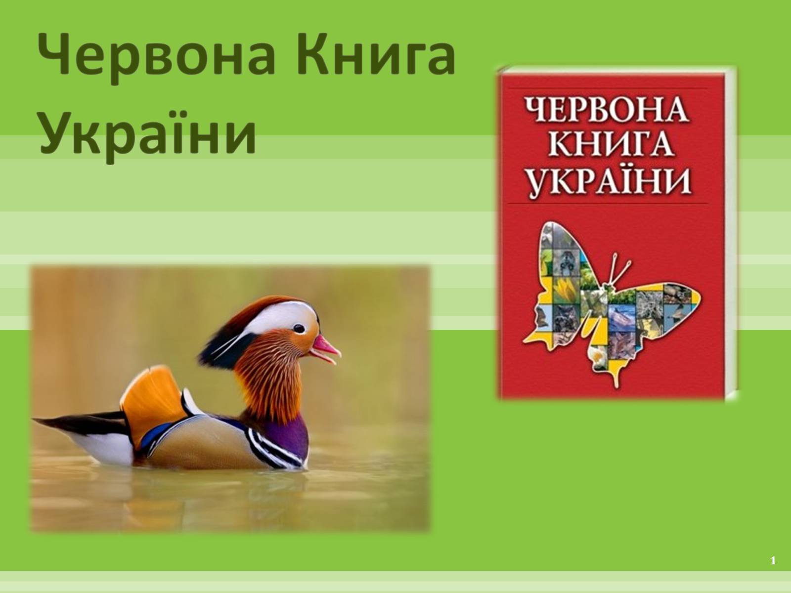 Презентація на тему «Червона Книга» (варіант 1) - Слайд #1