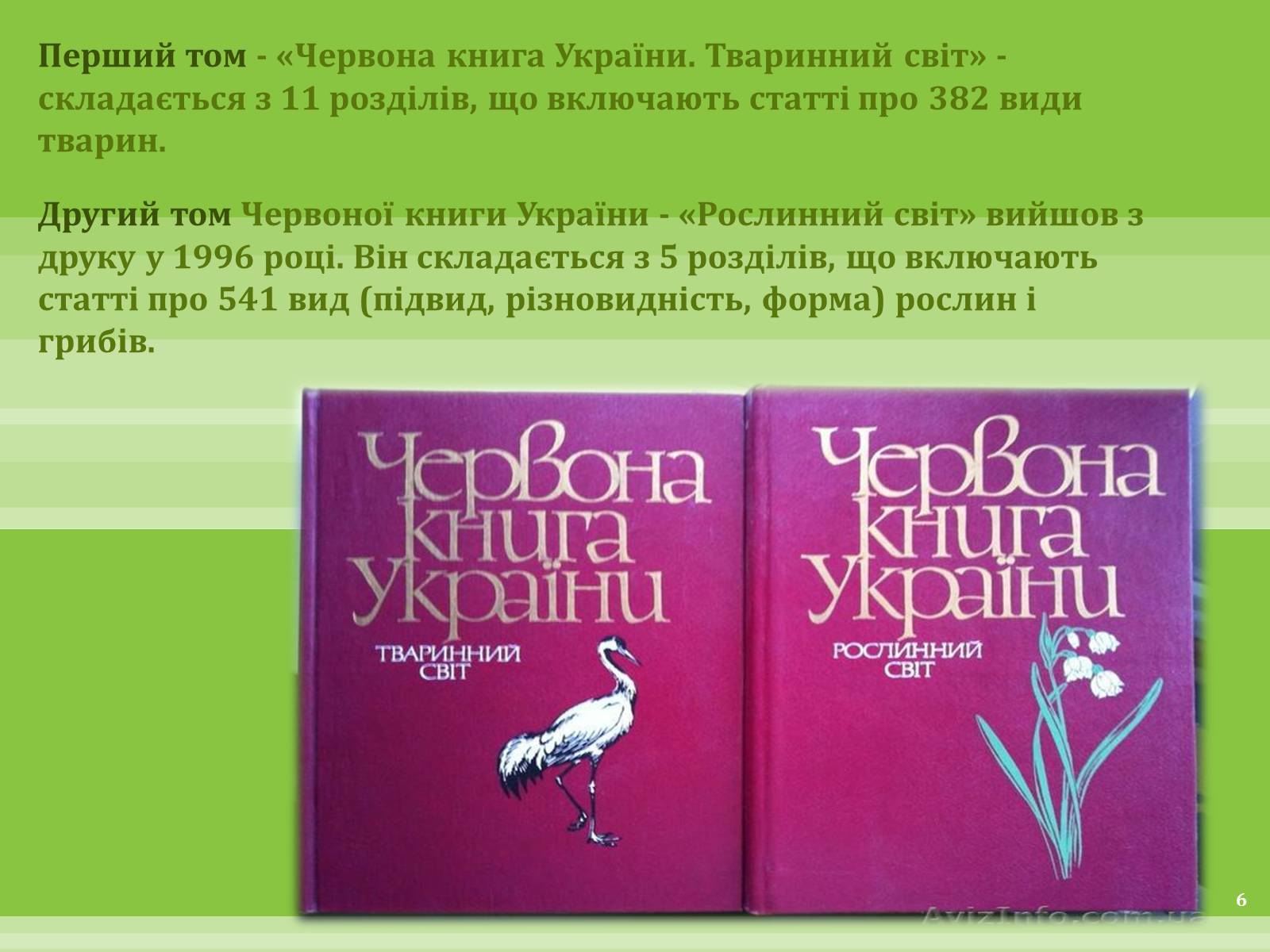 Презентація на тему «Червона Книга» (варіант 1) - Слайд #6