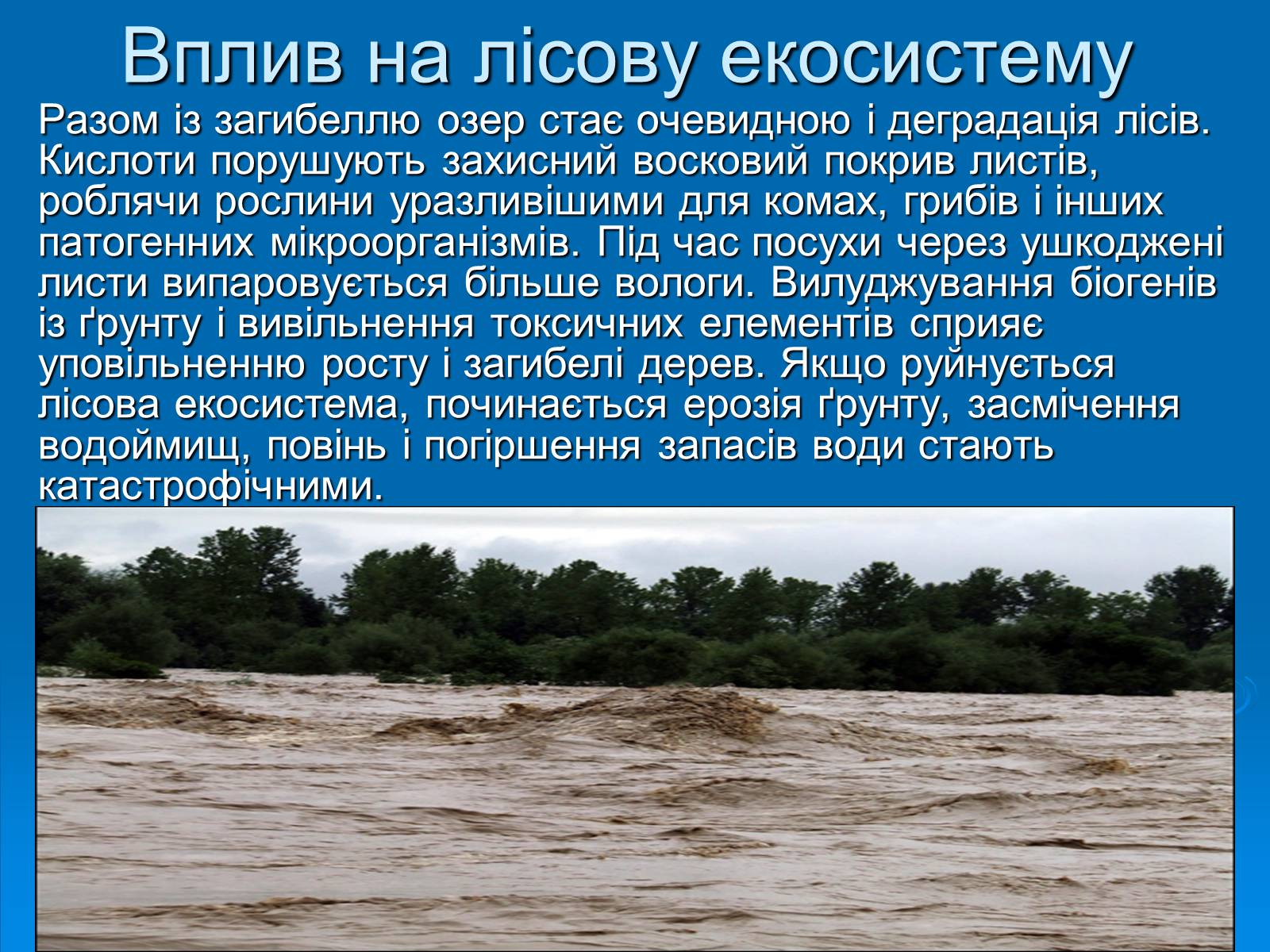 Презентація на тему «Кислотні дощі» (варіант 11) - Слайд #9