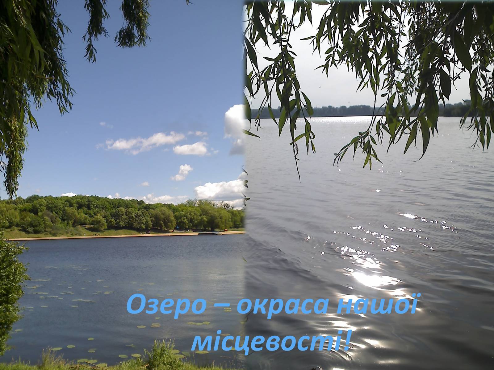 Презентація на тему «Господарі планети — ми, люди!» - Слайд #30