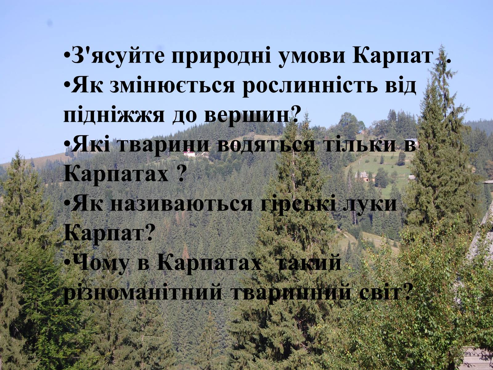 Презентація на тему «Карпати» (варіант 4) - Слайд #13