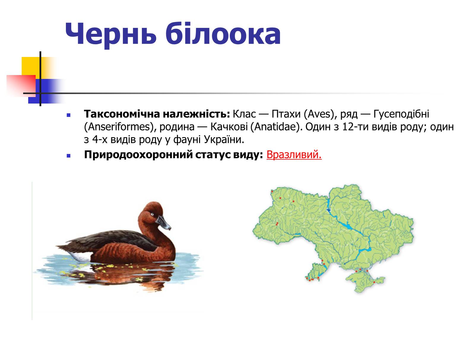 Презентація на тему «Червона книга України» (варіант 9) - Слайд #15