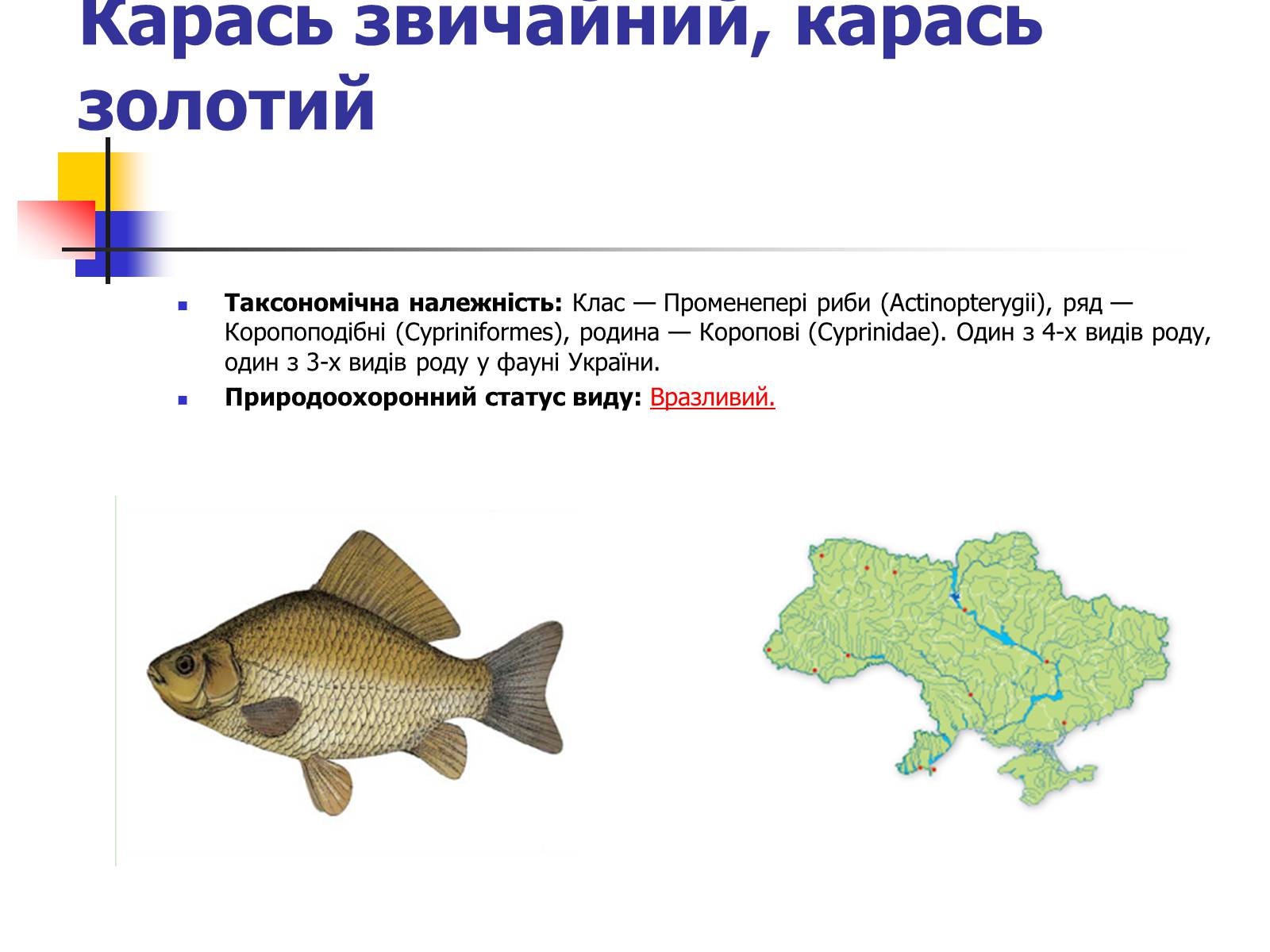 Презентація на тему «Червона книга України» (варіант 9) - Слайд #6