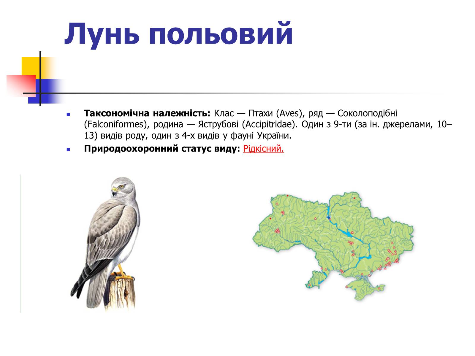 Презентація на тему «Червона книга України» (варіант 9) - Слайд #7