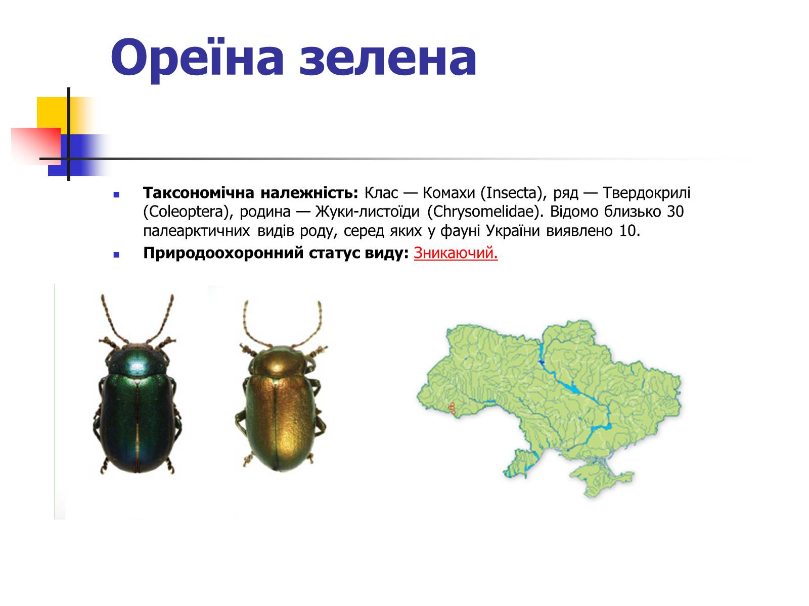 Презентація на тему «Червона книга України» (варіант 9) - Слайд #8