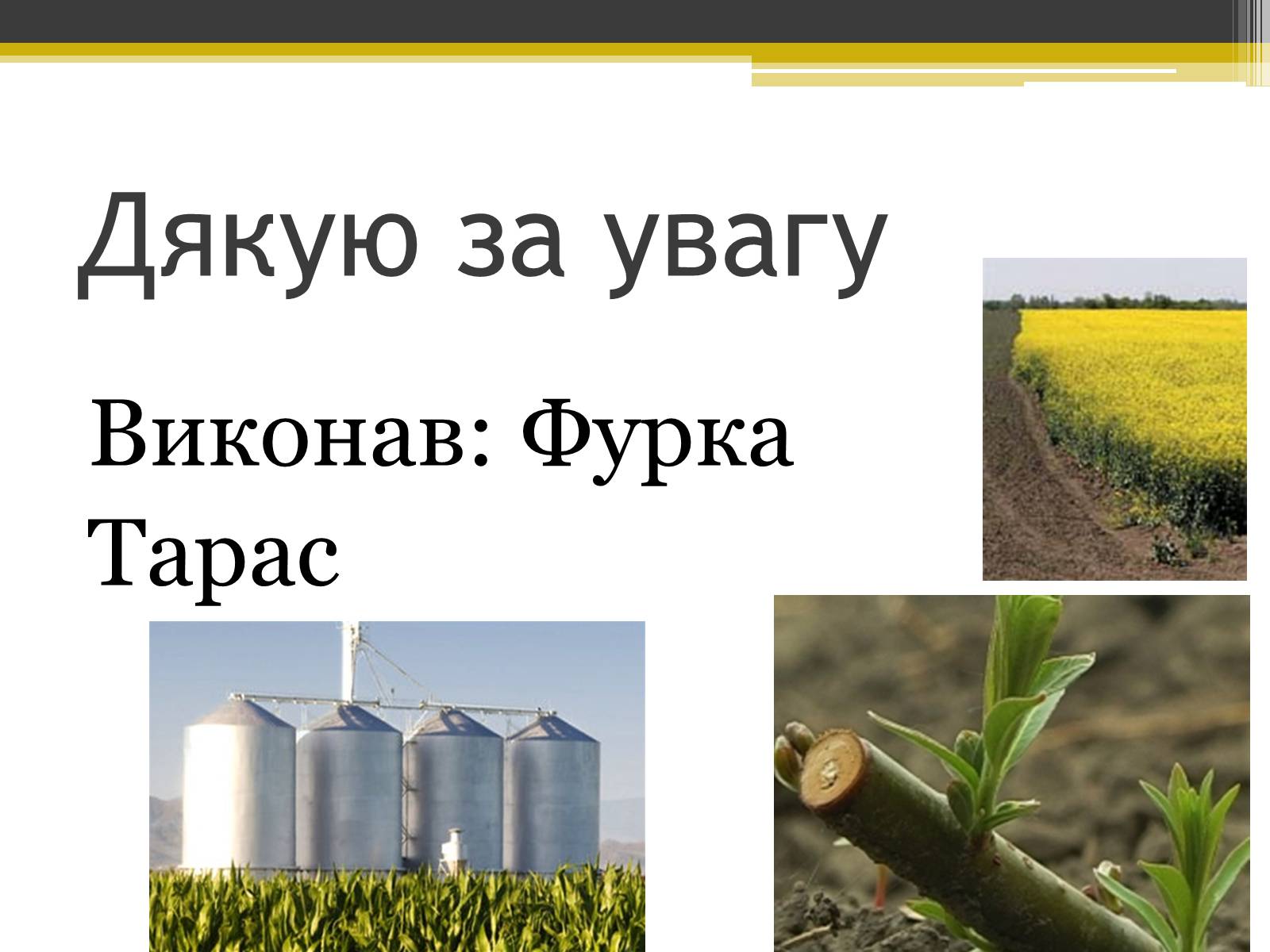 Презентація на тему «Альтернативні види палива» (варіант 4) - Слайд #8