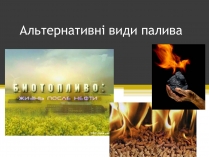 Презентація на тему «Альтернативні види палива» (варіант 4)