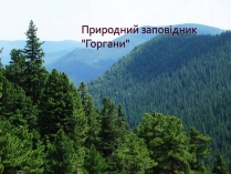 Презентація на тему «Горгани»