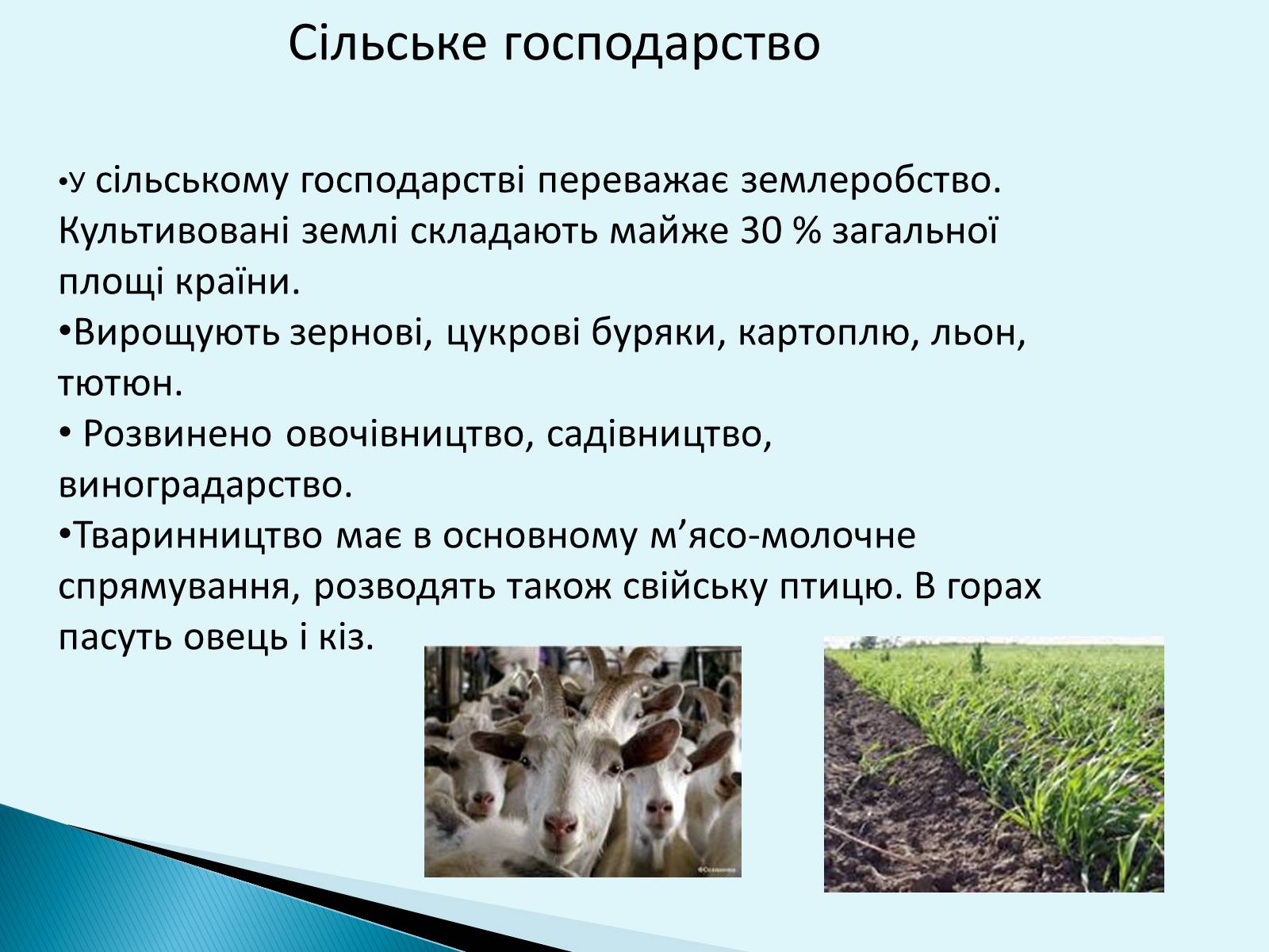 Презентація на тему «Республіка Словаччина» (варіант 6) - Слайд #14