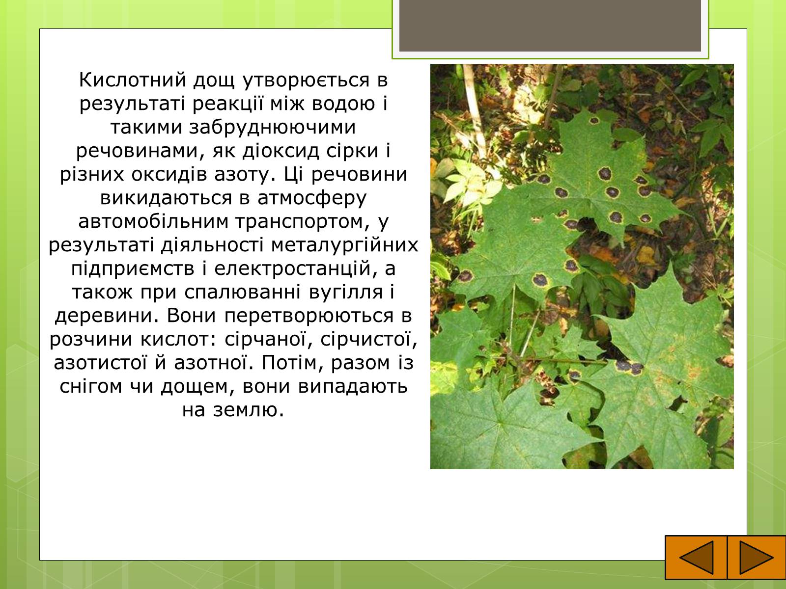 Презентація на тему «Кислотні дощі» (варіант 9) - Слайд #4