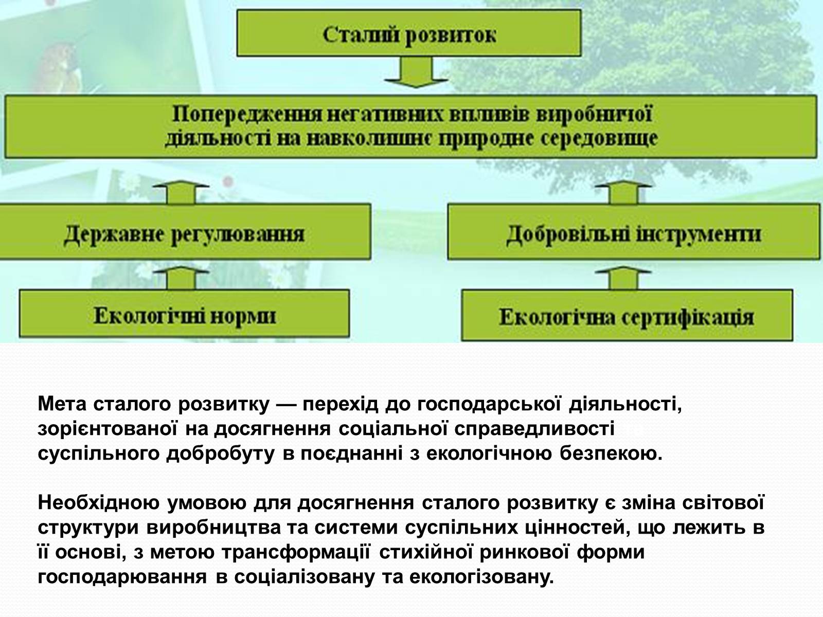 Презентація на тему «Основні глобальні проблеми» (варіант 2) - Слайд #10