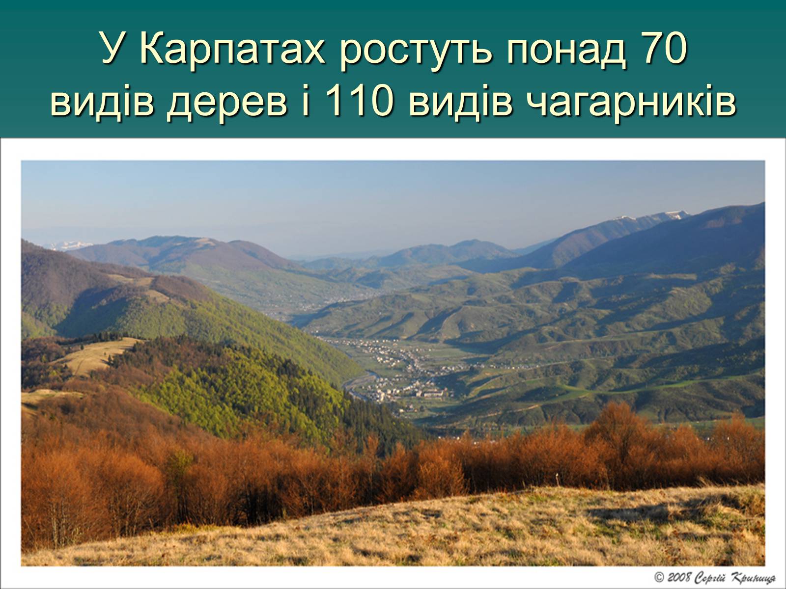 Презентація на тему «Українські Карпати» (варіант 1) - Слайд #18