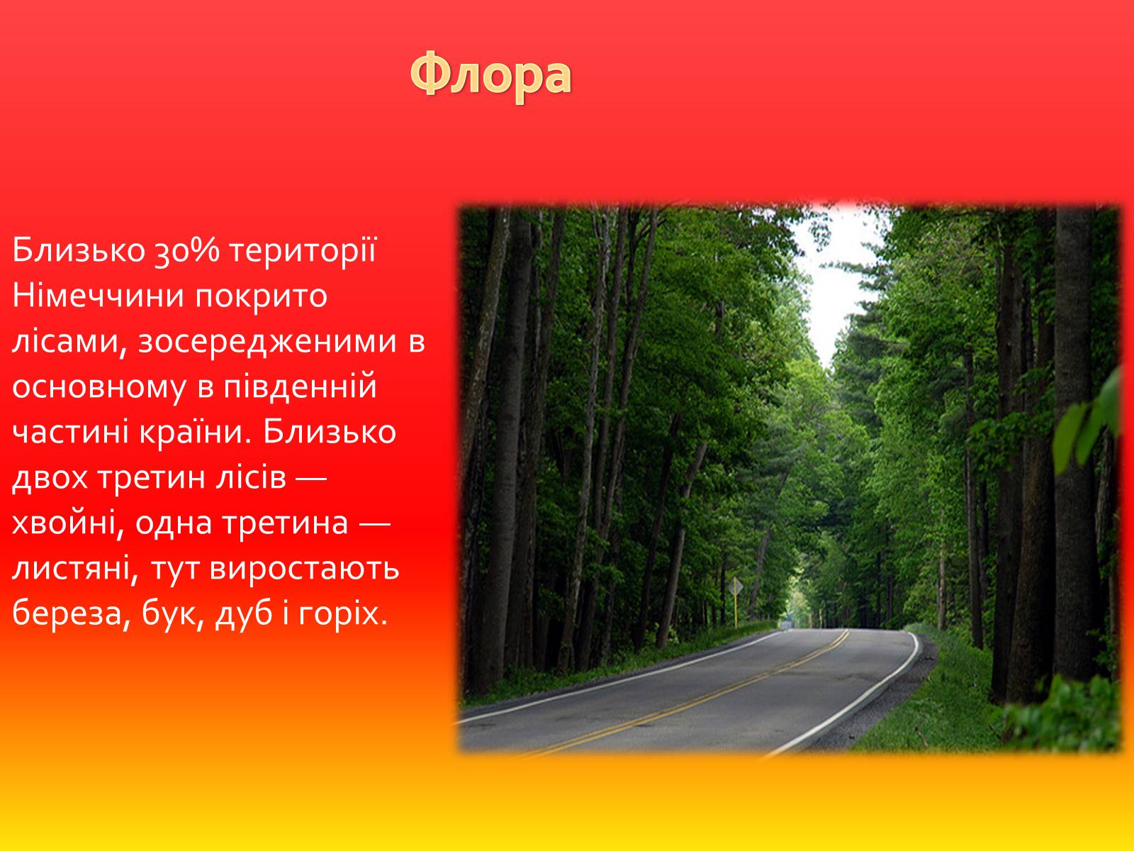 Презентація на тему «Федеральна Республіка Німеччина» (варіант 1) - Слайд #6