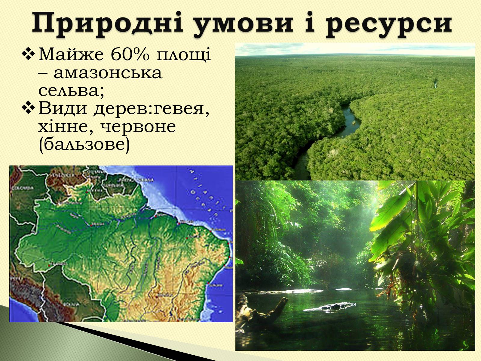 Презентація на тему «Федеративна Республіка Бразилія» - Слайд #8