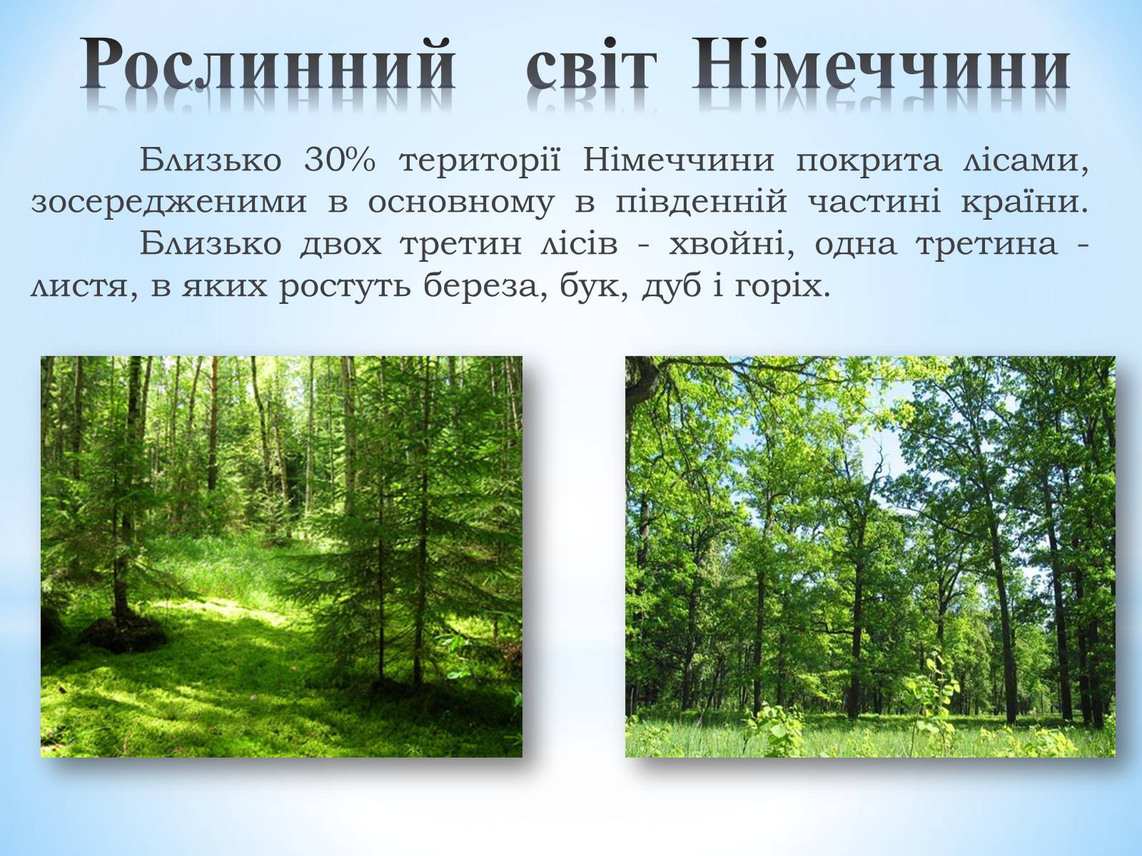 Презентація на тему «Німеччина» (варіант 14) - Слайд #9