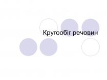 Презентація на тему «Кругообіг речовин» (варіант 1)