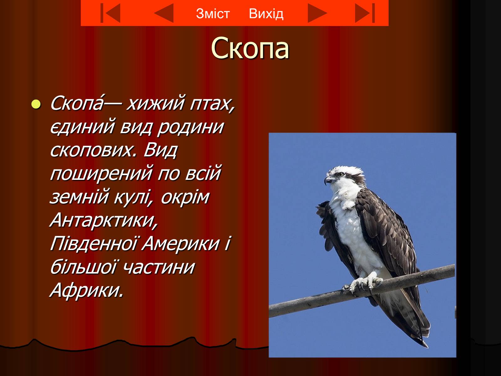 Презентація на тему «Червона книга України» (варіант 8) - Слайд #4