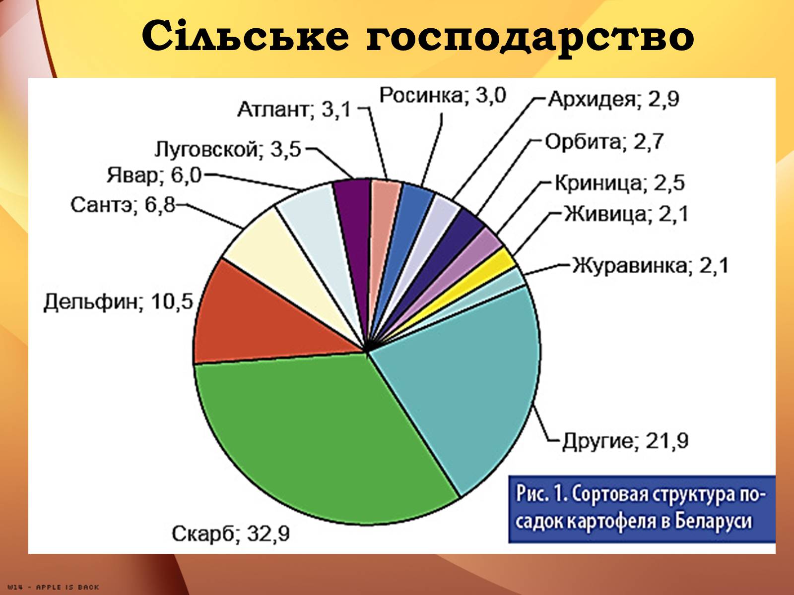 Презентація на тему «Республіка Білорусь» (варіант 2) - Слайд #25