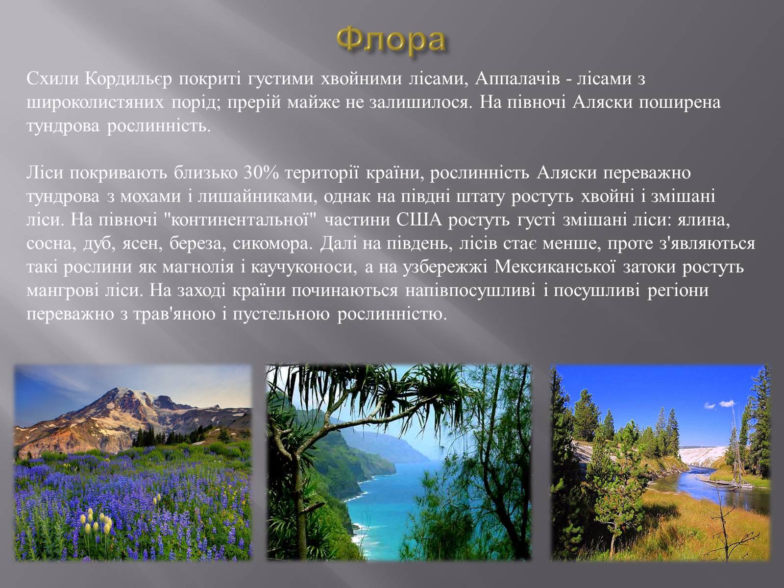 Презентація на тему «Сполучені Штати Америки» (варіант 4) - Слайд #5