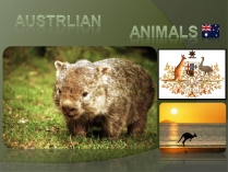 Презентація на тему «Austrlian Animal»