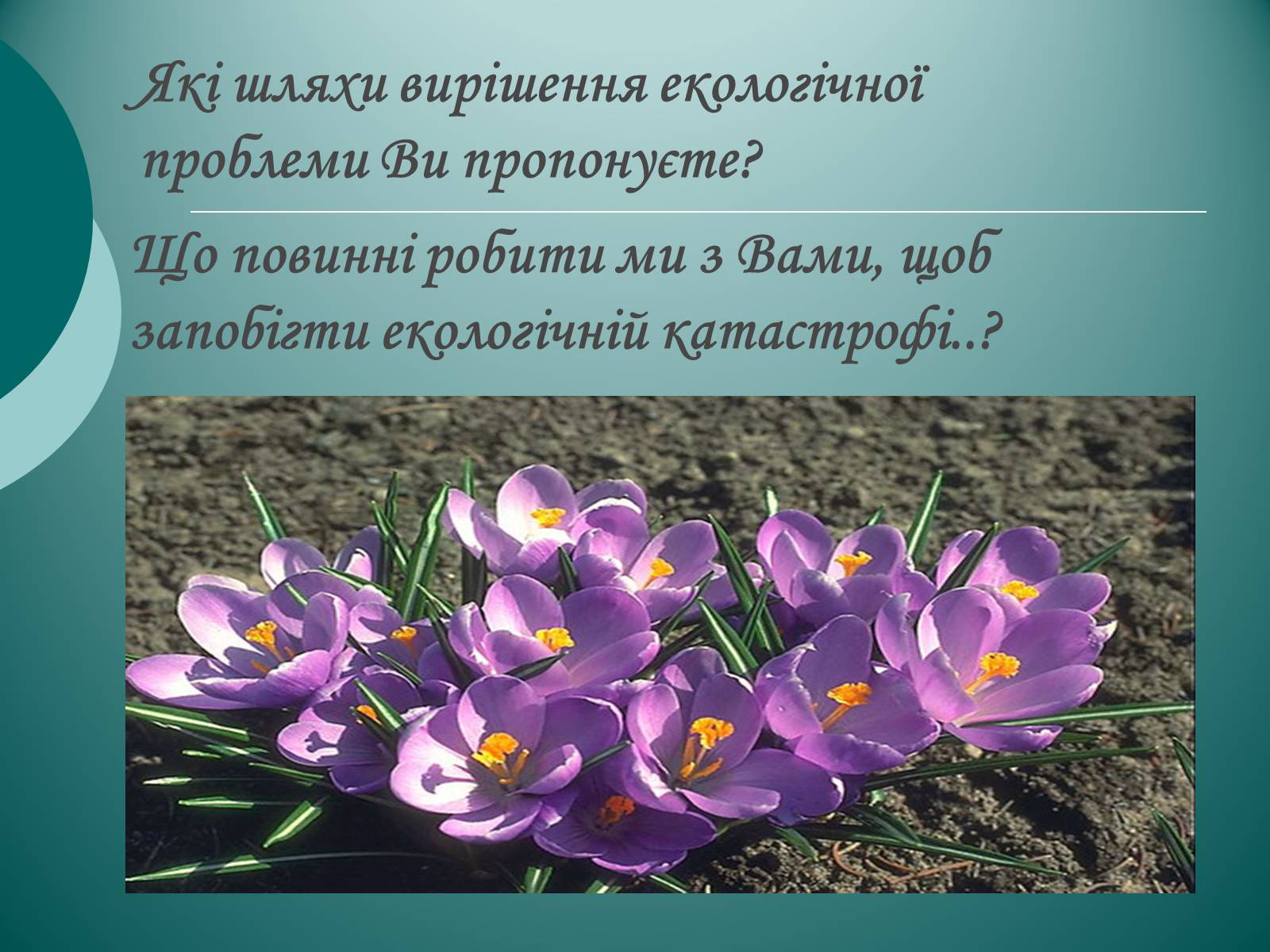 Презентація на тему «Глобальні проблеми людства екологічного характеру» - Слайд #11