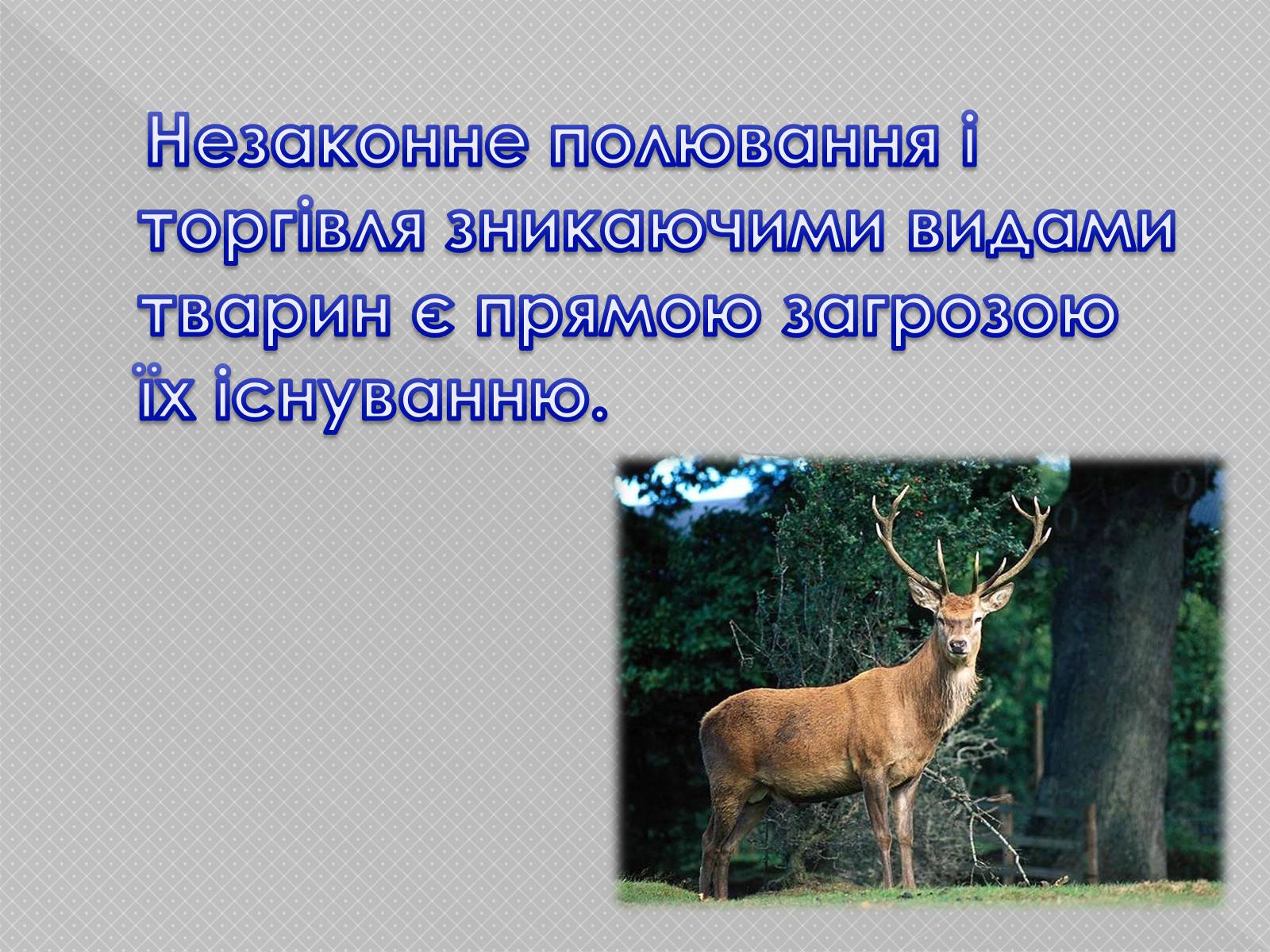 Презентація на тему «Надмірна експлуатація природніх ресурсів» - Слайд #8