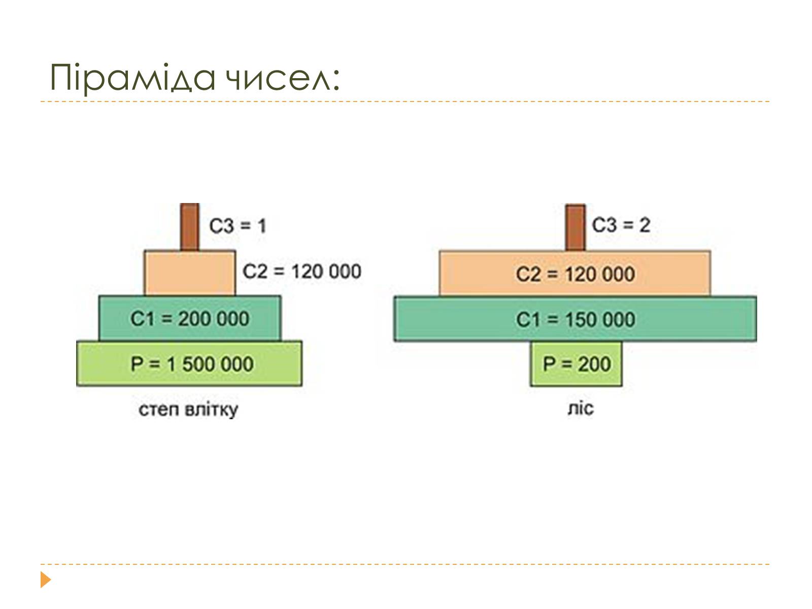 Презентація на тему «Розміри та склад екосистем» - Слайд #11