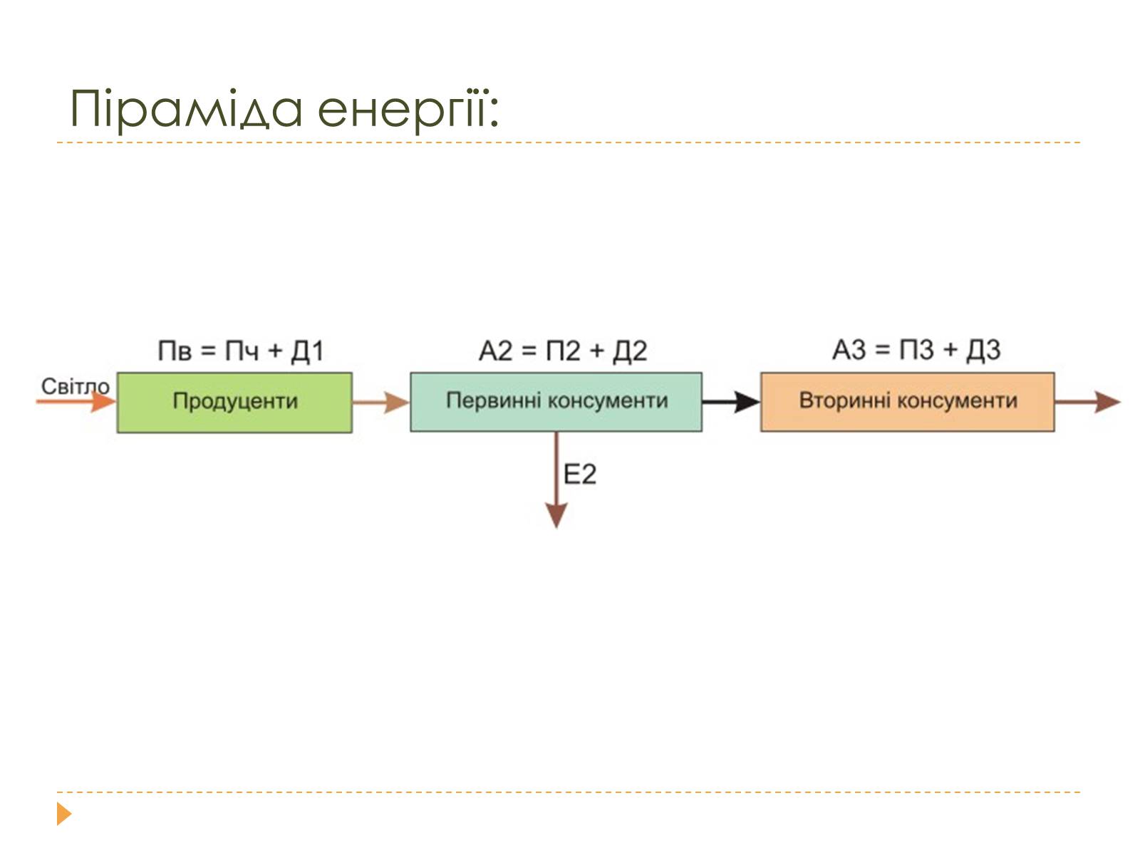 Презентація на тему «Розміри та склад екосистем» - Слайд #14