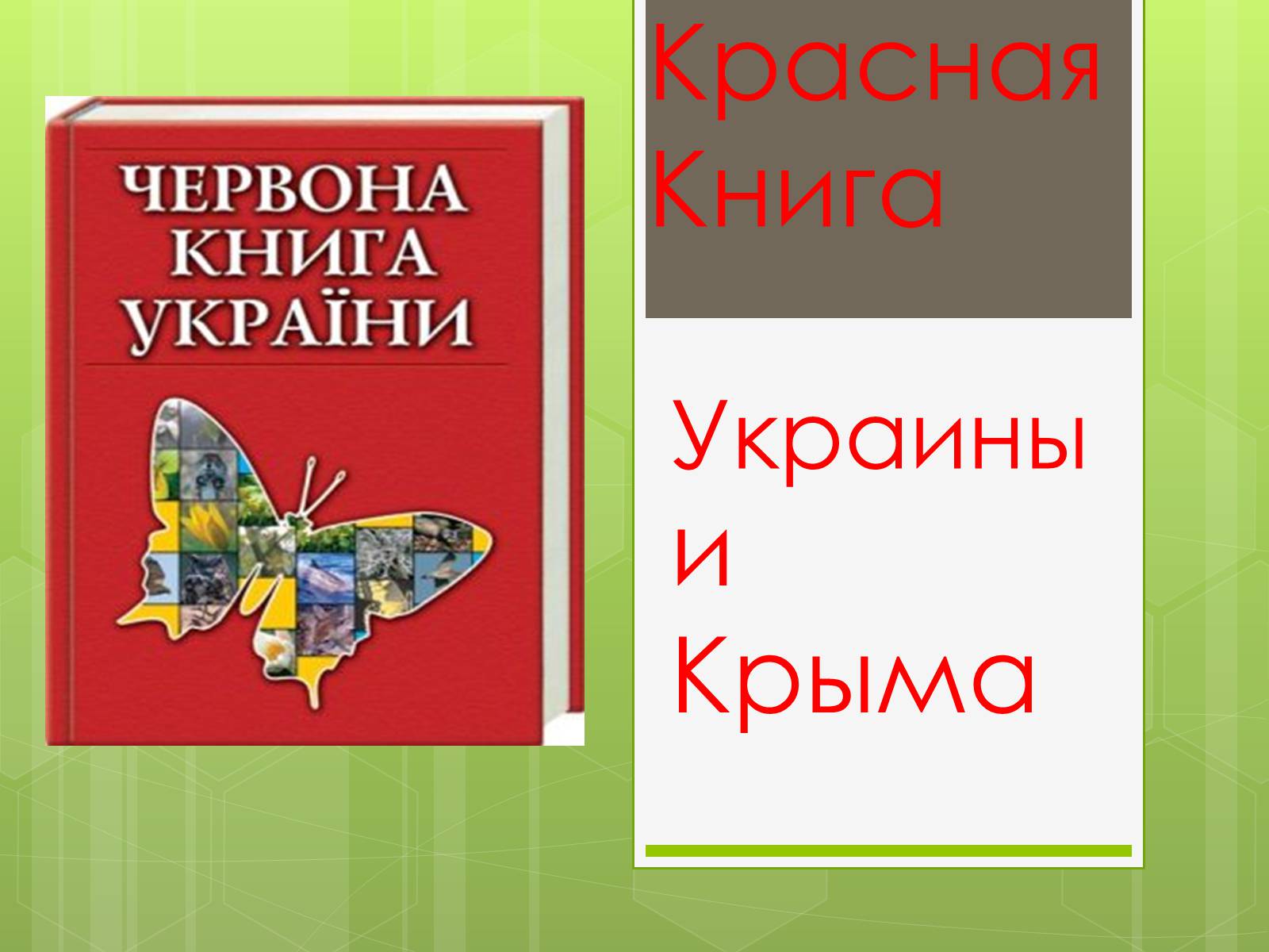 Презентація на тему «Красная Книга» - Слайд #1