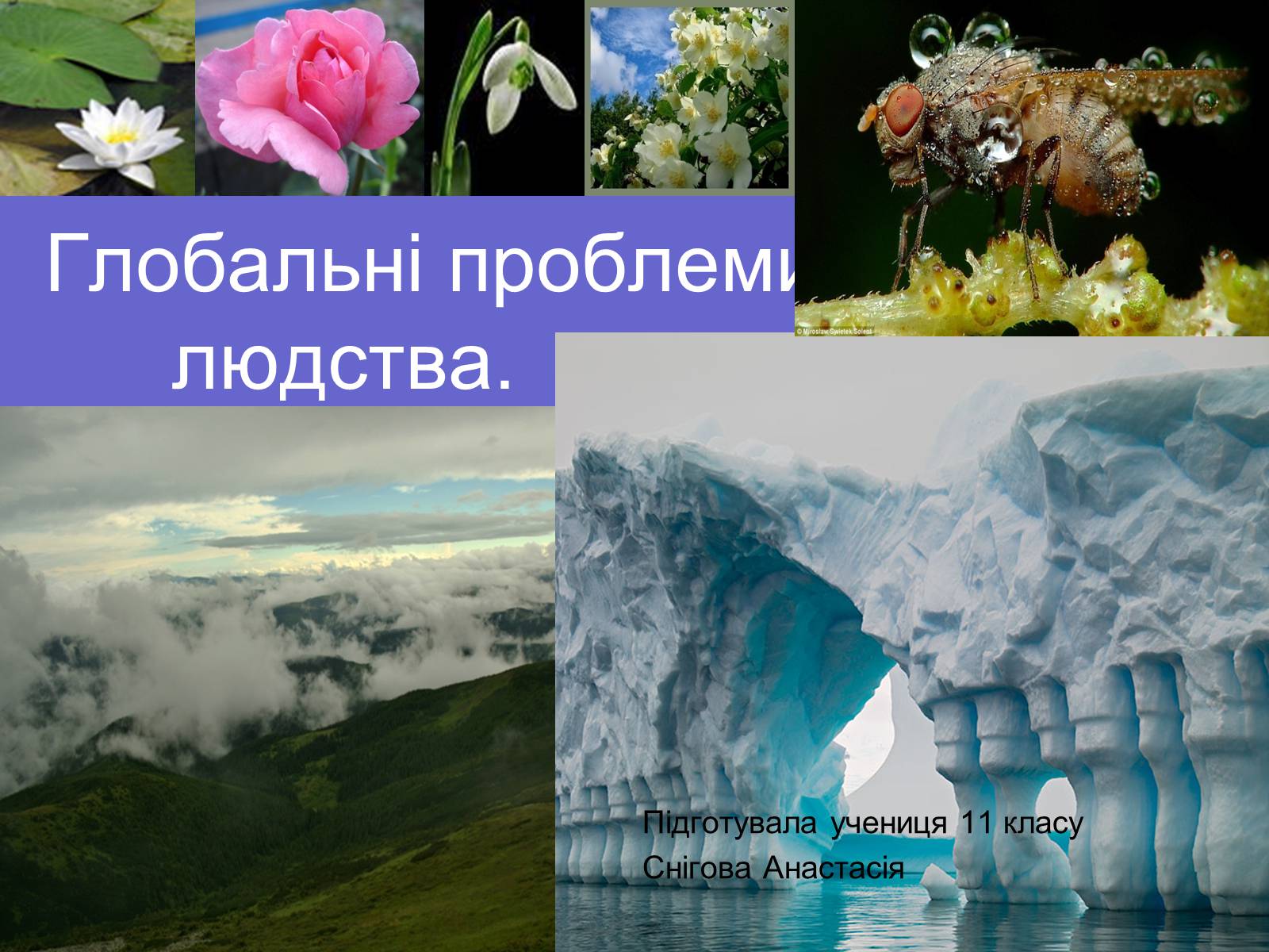 Презентація на тему «Особливості глобальних проблем» - Слайд #1
