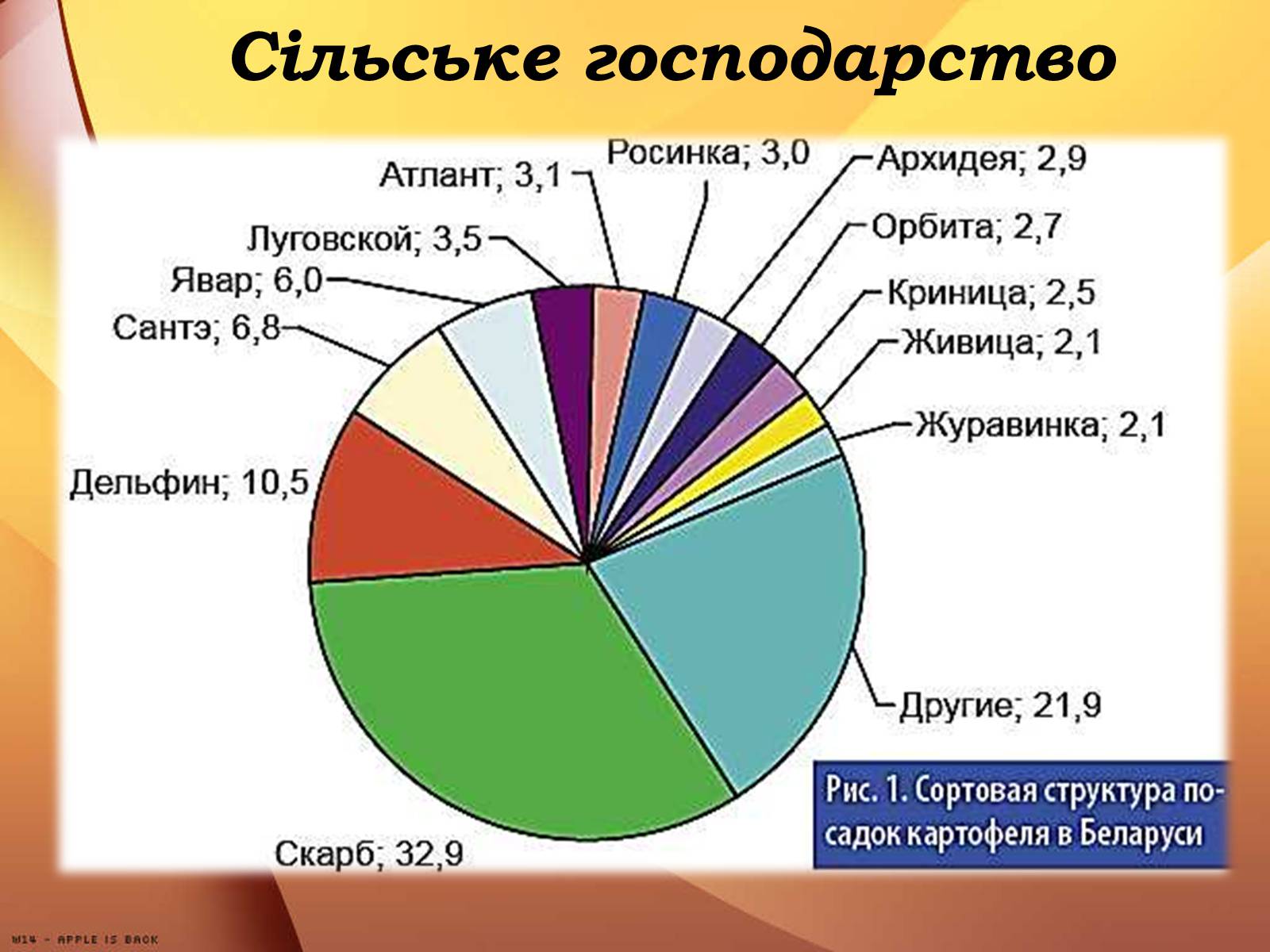 Презентація на тему «Республіка Білорусь» (варіант 3) - Слайд #21