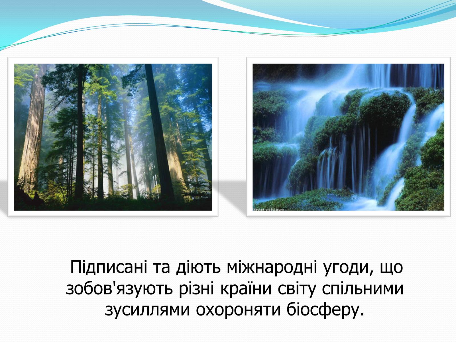 Презентація на тему «Людина і біосфера. Охорона біосфери» (варіант 2) - Слайд #4