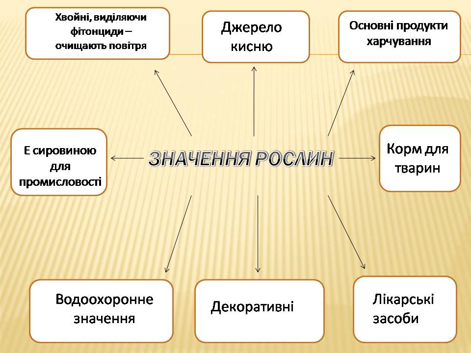 Презентація на тему «Екологічні проблеми Гранітно-степового Побужжя» - Слайд #25