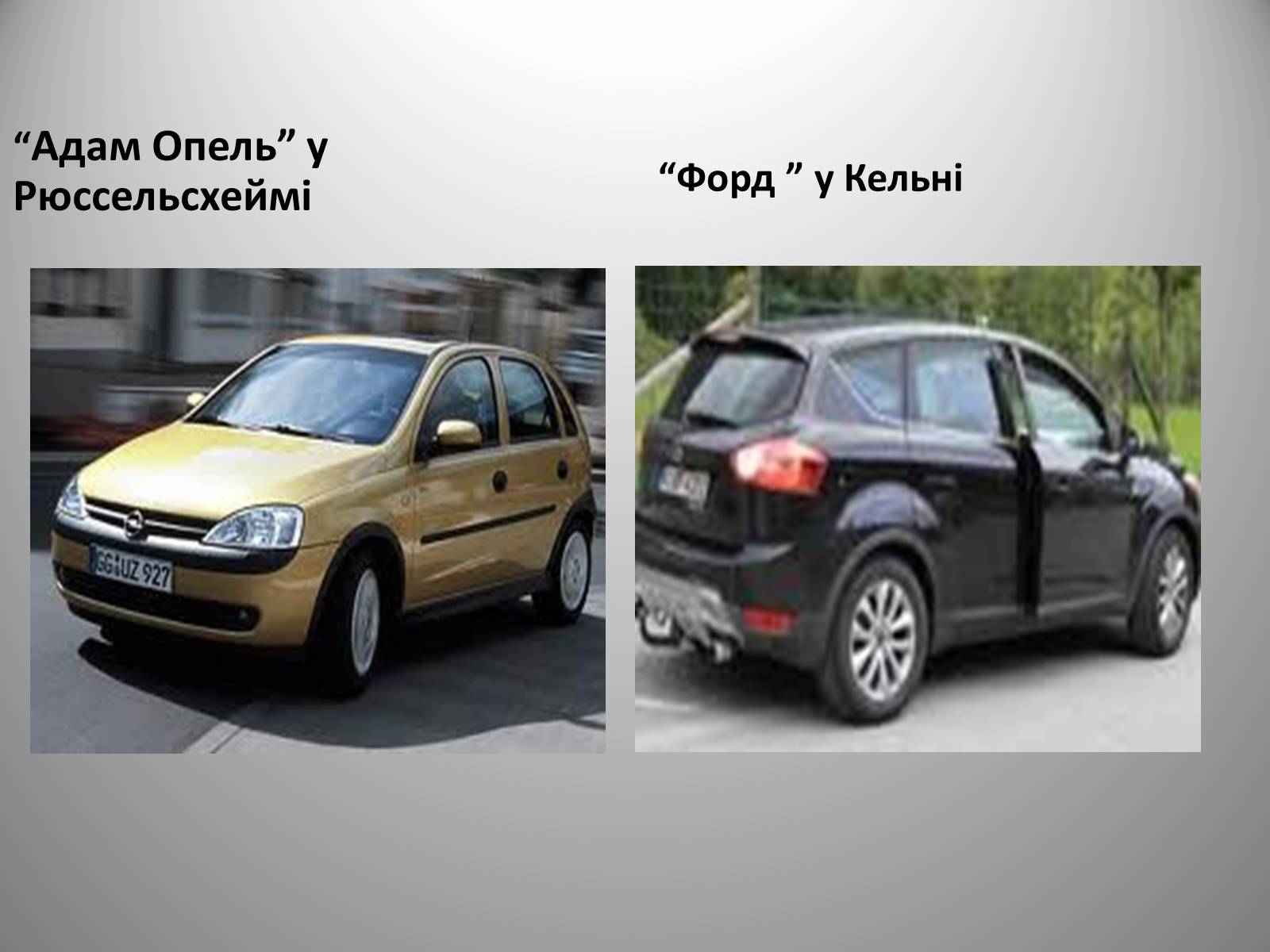 Презентація на тему «Федеративна Республіка Німеччина» (варіант 9) - Слайд #17