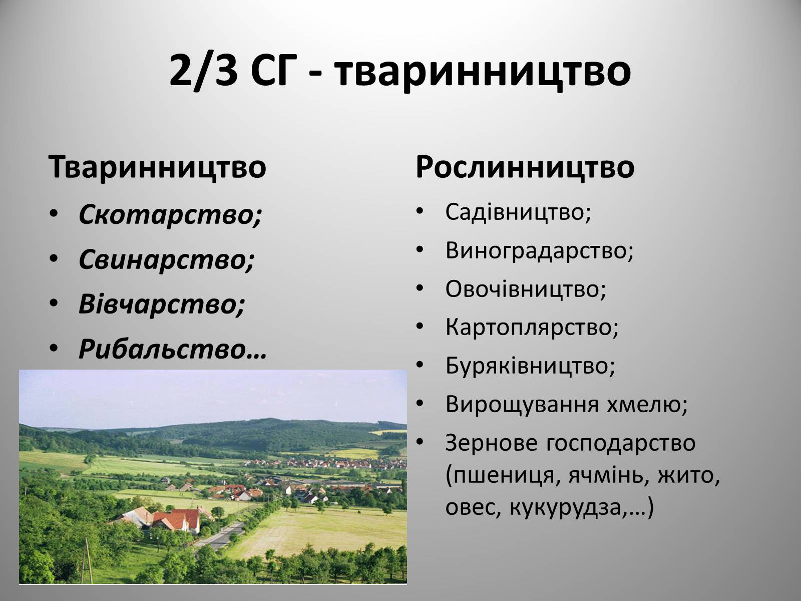 Презентація на тему «Федеративна Республіка Німеччина» (варіант 9) - Слайд #21