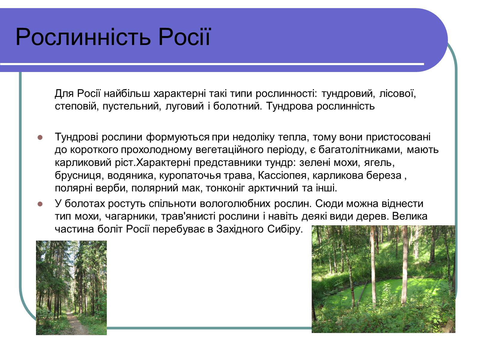 Презентація на тему «Росія» (варіант 13) - Слайд #7