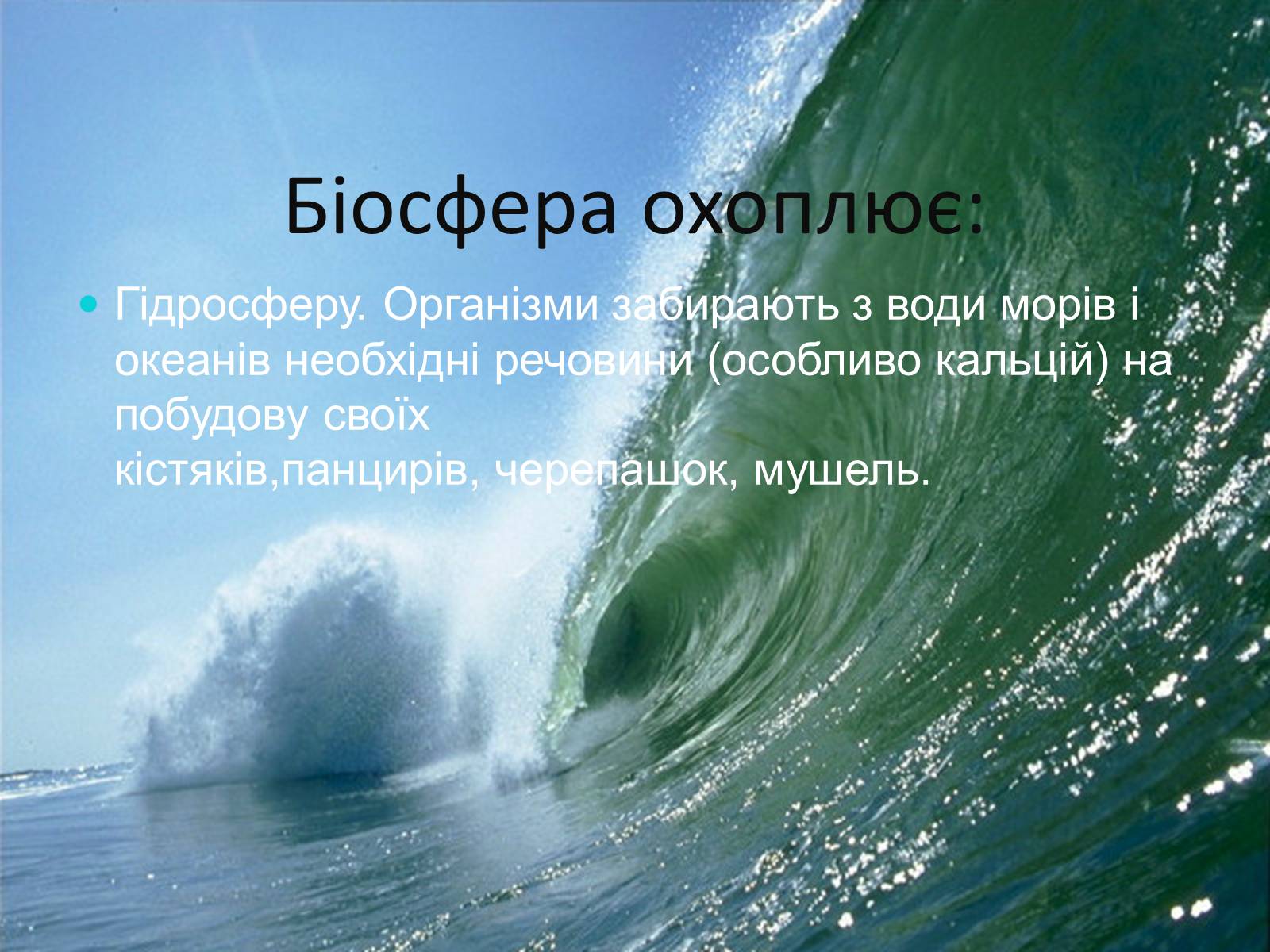 Презентація на тему «Біосфера. Унікальна система» - Слайд #6