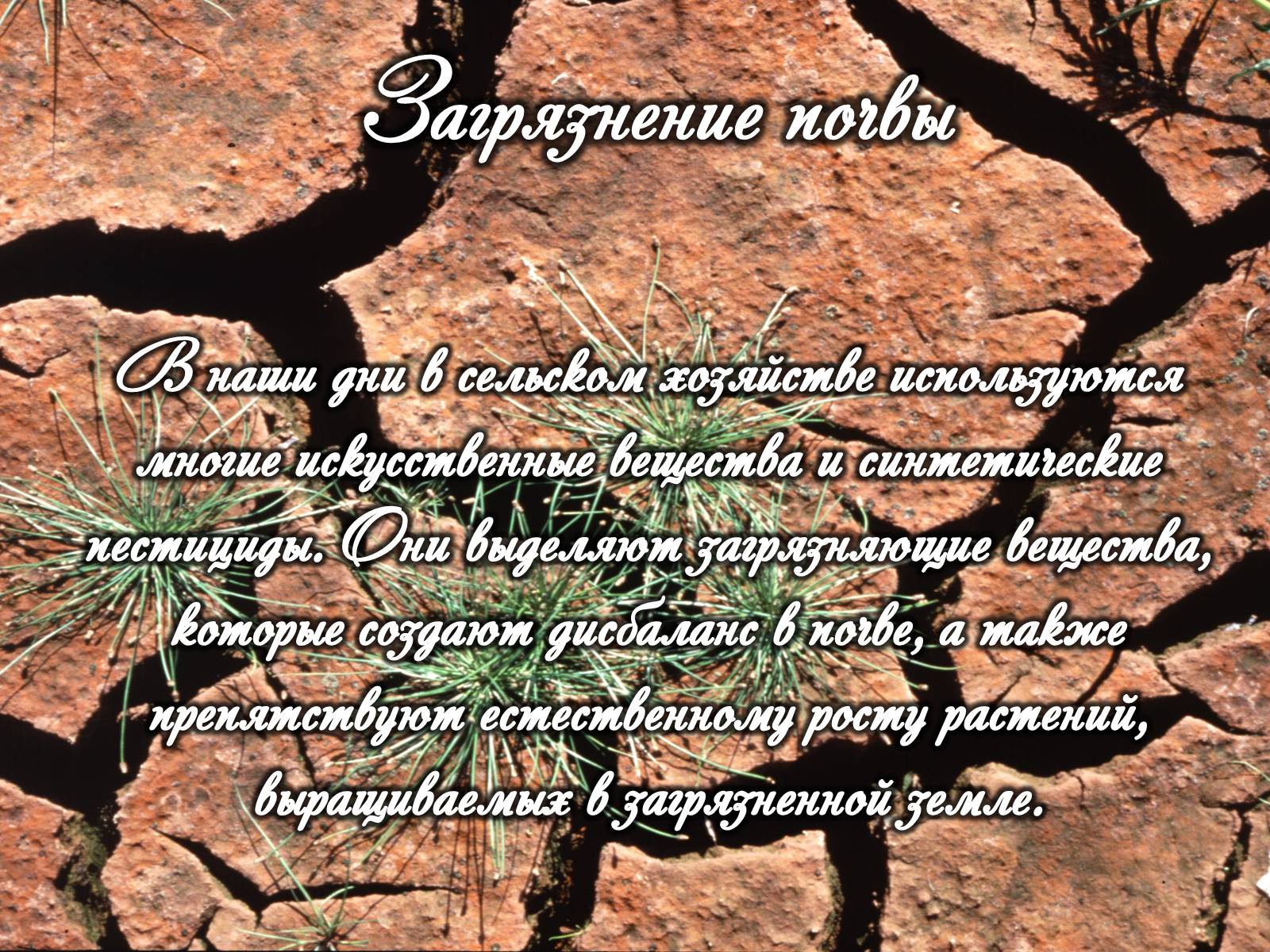 Презентація на тему «Категории закгрязнения окружающей среды» - Слайд #17