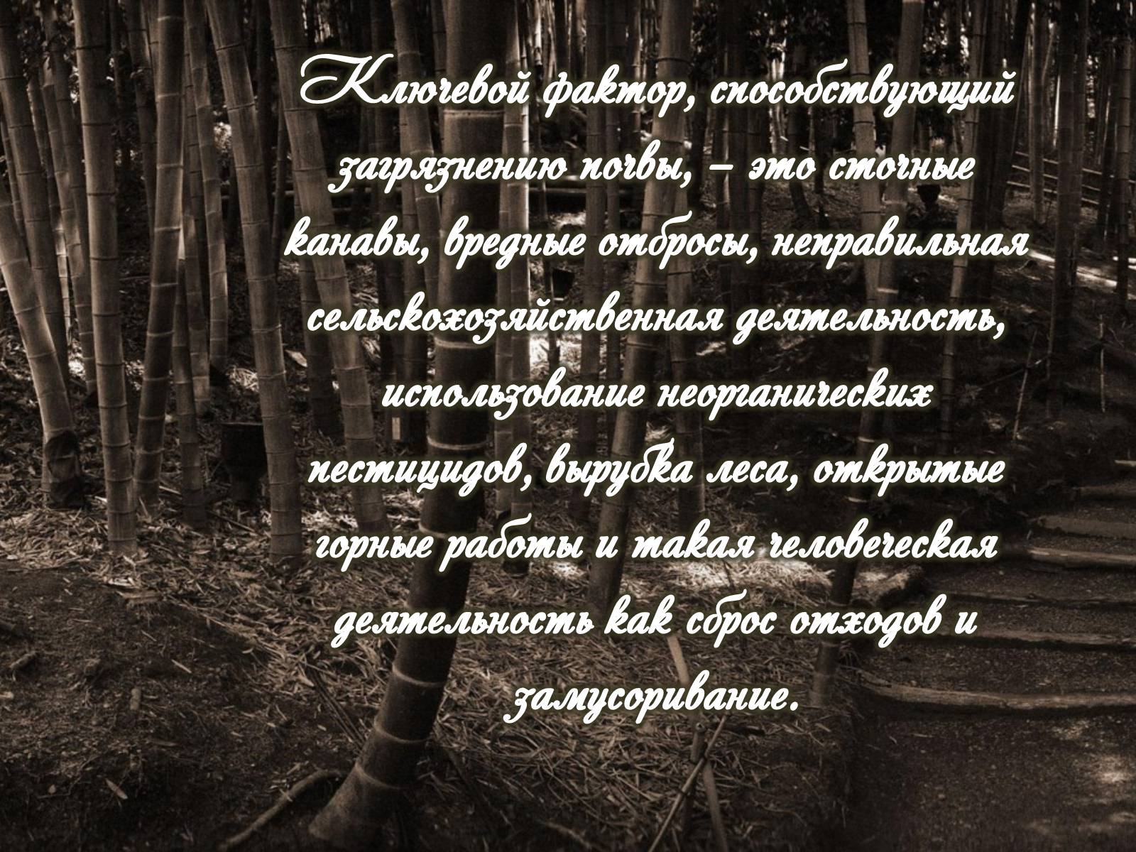 Презентація на тему «Категории закгрязнения окружающей среды» - Слайд #18