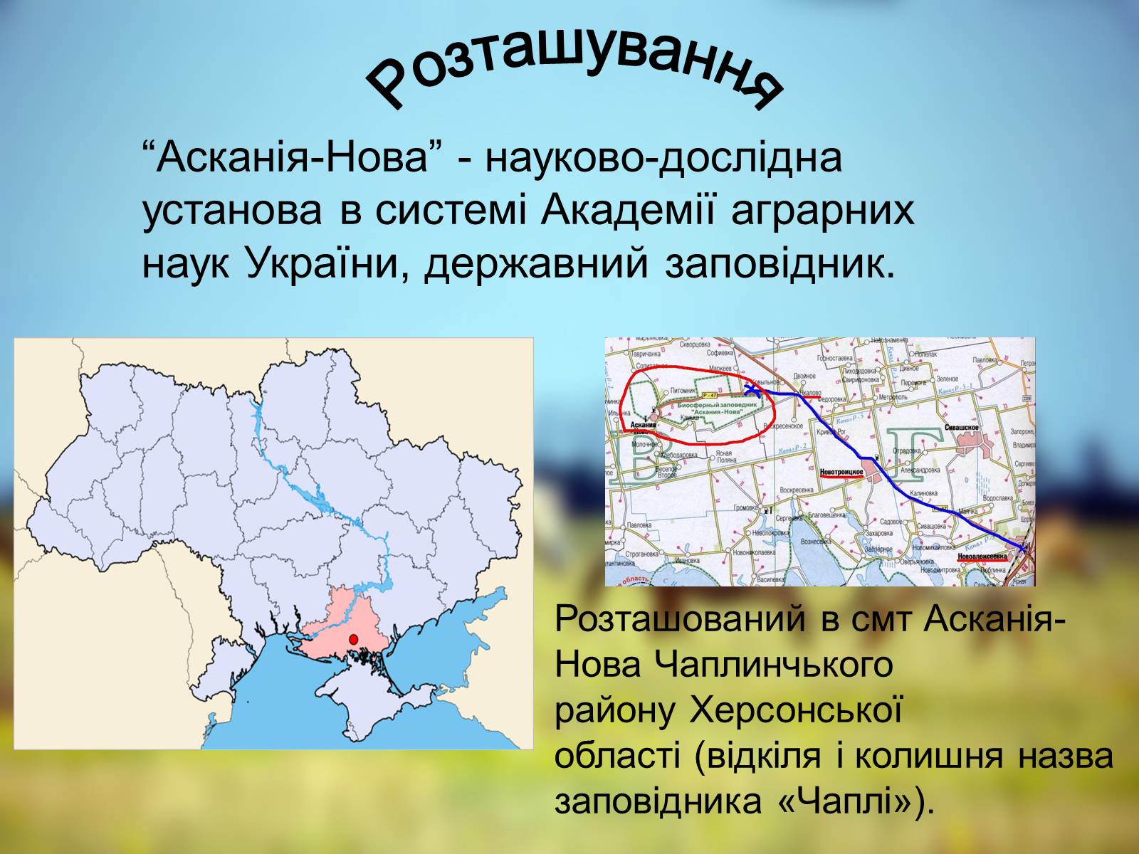 Презентація на тему «Біосферний Заповідник» - Слайд #2