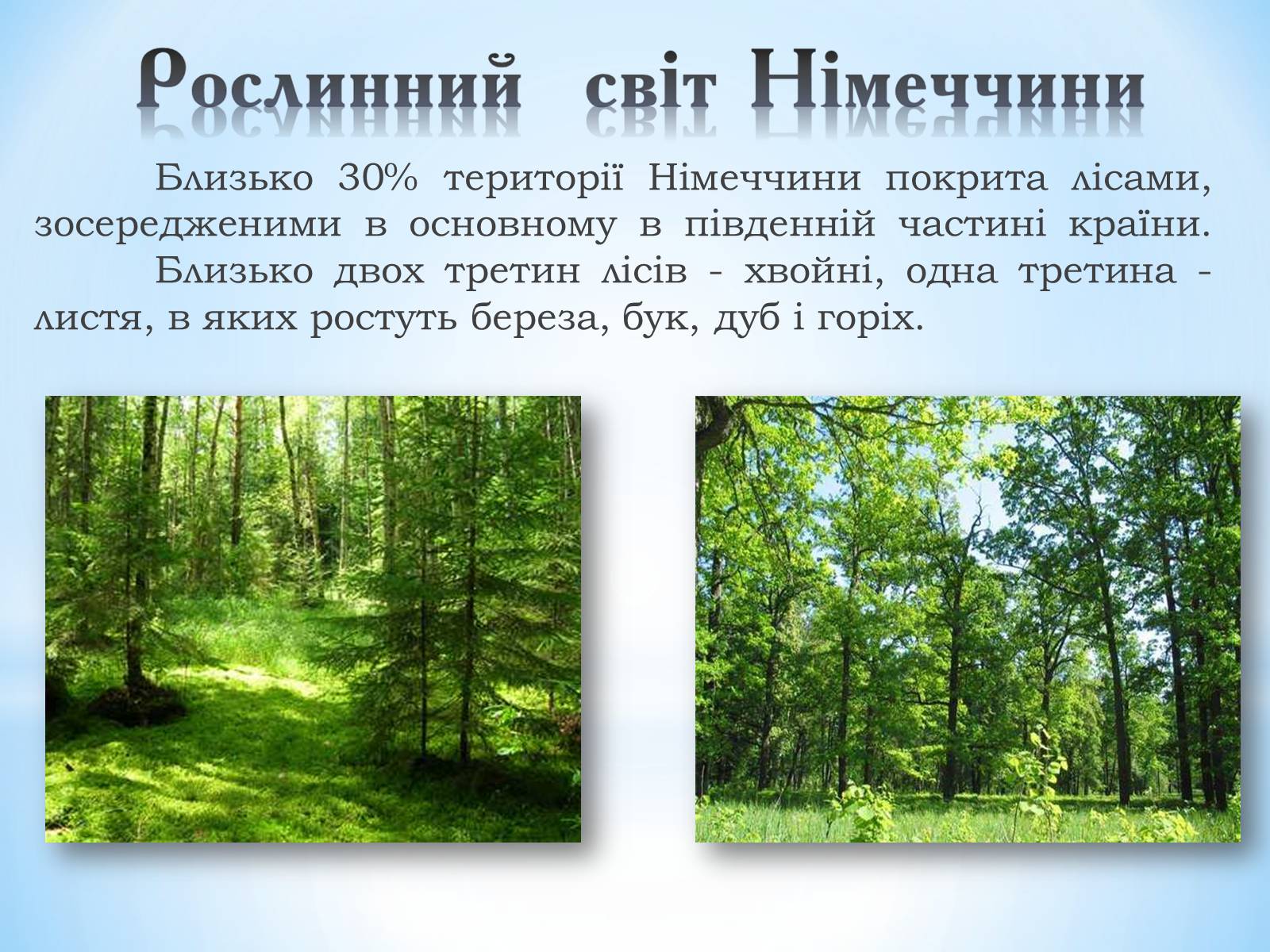 Презентація на тему «Німеччина» (варіант 4) - Слайд #10