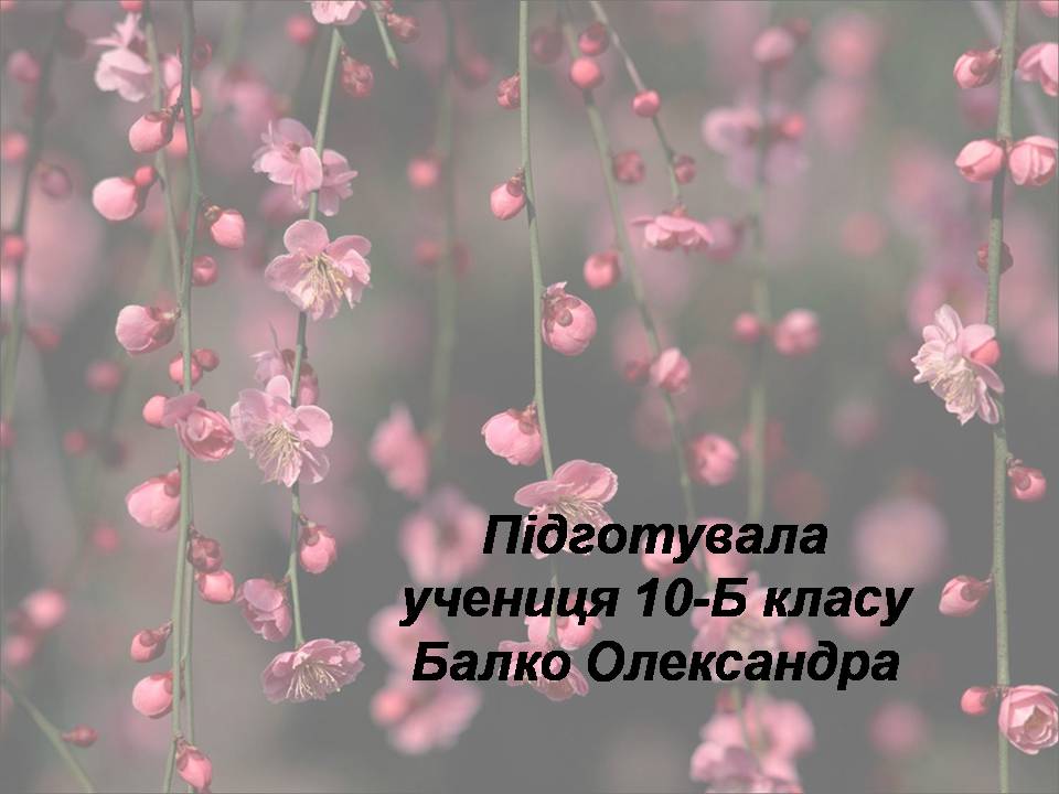 Презентація на тему «Японія» (варіант 53) - Слайд #32